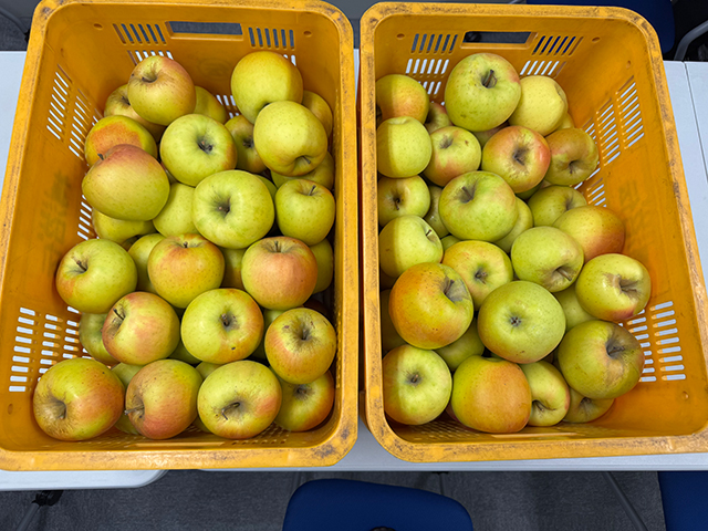 恒例のりんごを農園から購入し全従業員へ配布致しました。